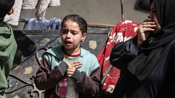 WHO Halts Gaza Medical Evacuations Following Contractor's Death in Israeli Fire