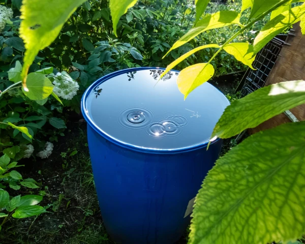 Rethinking Garden Watering in an Era of Drought and Bans