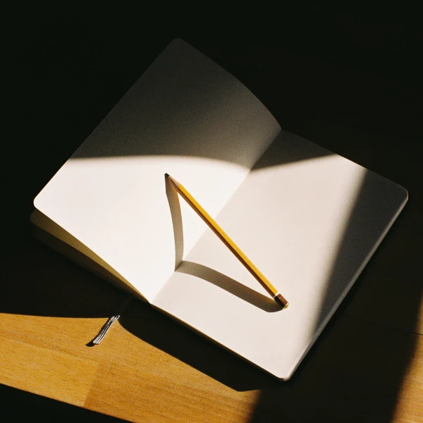 Beyond Grades: The Missing Parts of Your Child's Progress Report